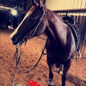 Meet your Posher, Joann